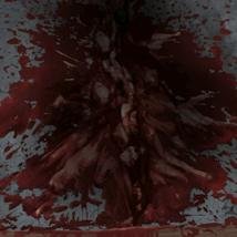 'Tis but a mere flesh wound.