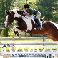 Jumpers and eventing