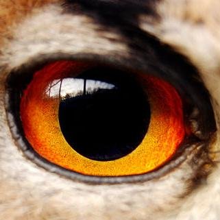 Recoinn's profile picture. #Blockchain & #Bitcoin Reconnaissance. Aggregation, Curation, Empirical Observation, & Testing of Exchanges, Financial Funds, Wallets, & Security.