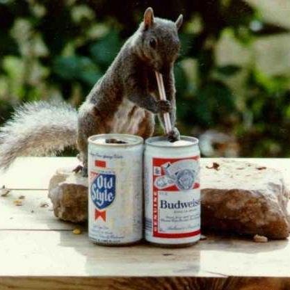 SqrrlNmoose's profile picture. 