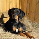 sandi harrison - @sandinamaste - Twitter