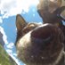 Scott Bogle (@sbpowderhound) Twitter profile photo