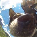 Scott Bogle - @Sbpowderhound - Twitter