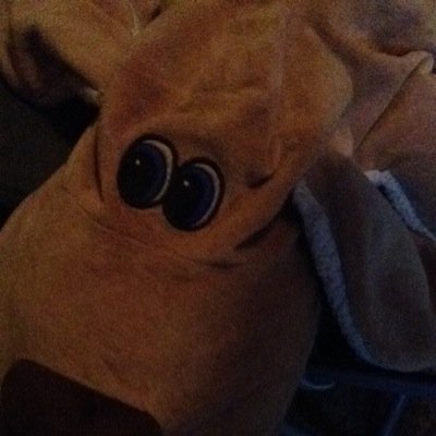 CapelleKent's profile picture. 