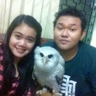 donna_siputra15's profile picture. 