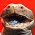 Woola (@woolagan) Twitter profile photo