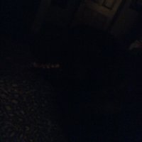 sandra weiler (@weilersandra) 's Twitter Profile