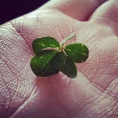 KylieAggio's profile picture. 