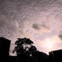 Alvin Koh - @mimik07 - Twitter