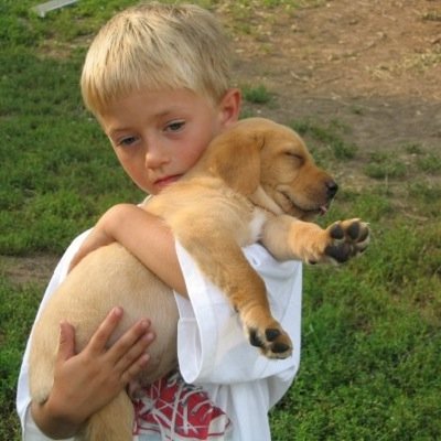 LikelyJohnson's profile picture. This is a free follow from @curiouslycash or i unfollow