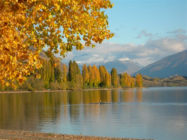 Specialsing in Wanaka Property. Call us with any questions. Licensed REAA 2008