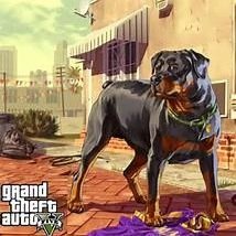 Franklin's Dog: Chop!! Grand Theft Auto!