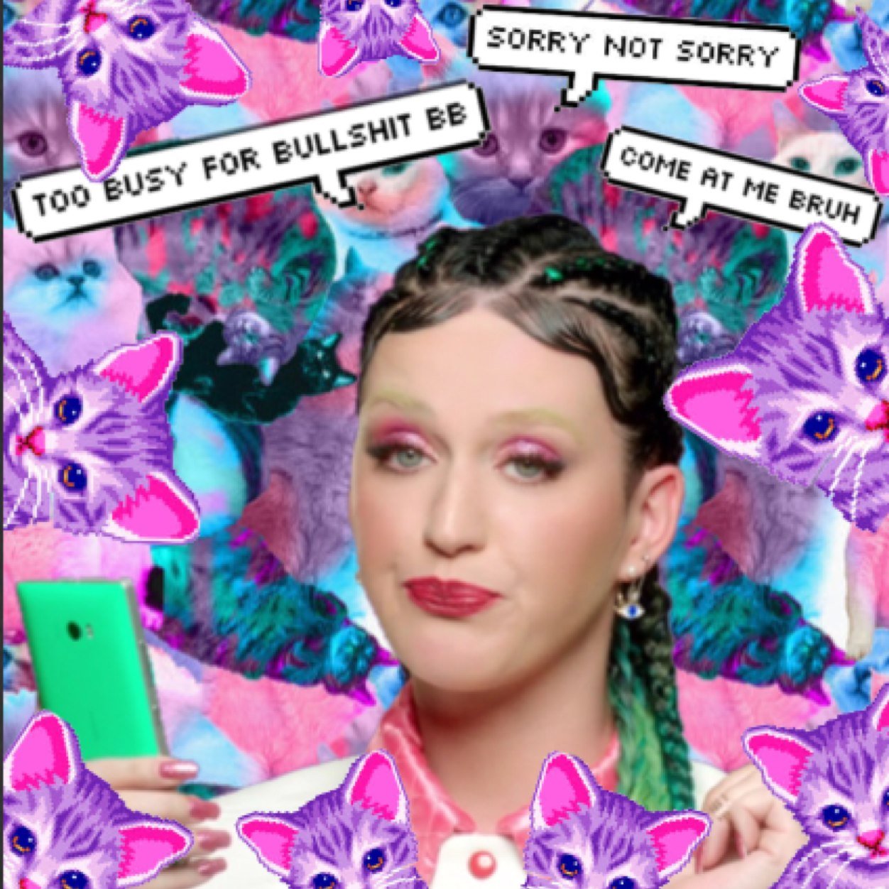 the mega cat lady aka katy perry