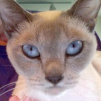 Jer2911 (@geopatti2) 's Twitter Profile