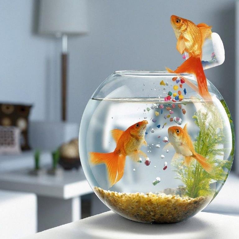 Hamayunkhans77's profile picture. 