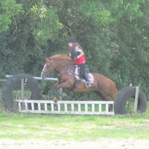 A member of British riding club in the dressage eventing and showjumping team