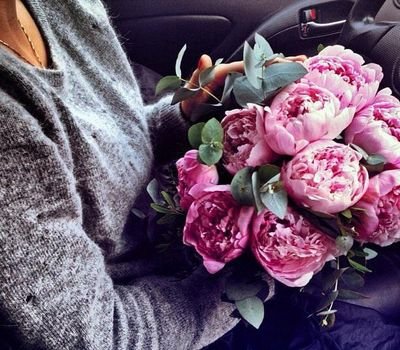 aq1234494's profile picture. محد يستاهلني