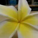 Betsy Vasquez - @betsyv09 - Twitter