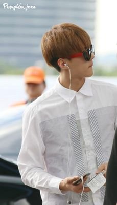 new chara and new owner └(^o^)┘