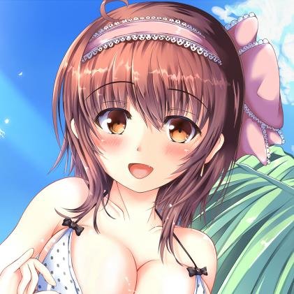 二次元水着が好きすぎる。さんのプロフィール画像