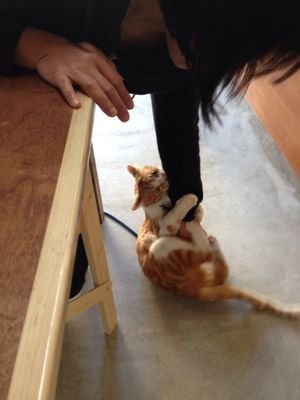 しょっぱい
