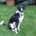 Debra Hildebrand - @DChase22 - Twitter