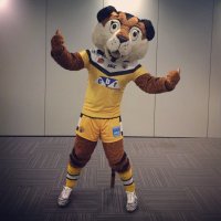Tigerman (@tigermanctrlfc) 's Twitter Profile
