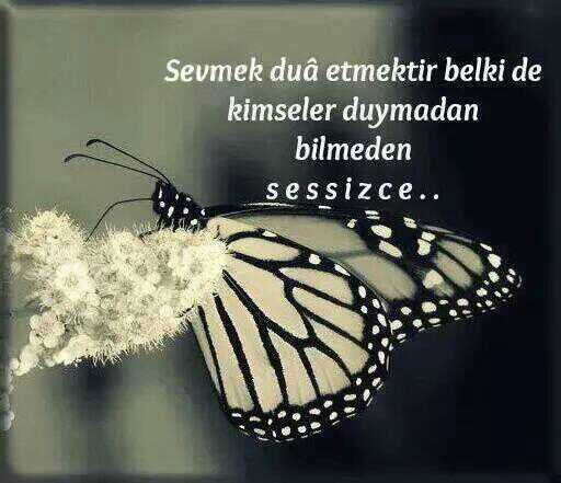 kendi kendime konuşurken burada buldum kendimi..