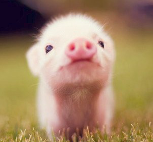 am09071204's profile picture. ヲタクの燃えかす。はきだめ用、鬱しかほぼ書かない