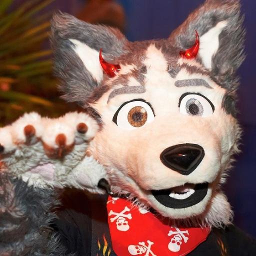 patch_packrat's profile picture. Evil twin of that dog @DogpatchPress - not quite housebroken