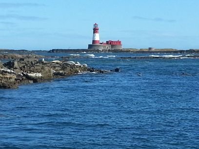 Working on Serenity Boats from Seahouses. Learning the trade to work towards being a skipper. Love the Farne Islands and the wildlife on them.