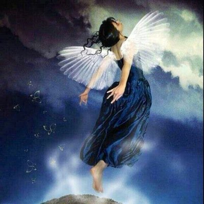 HopPnc's profile picture. Quand tout semble aller contre toi, souviens toi que l'✈️ décolle contre le vent, et non avec lui! PPL(A) Dr400 #Britair #AirFrance #A320 #B777