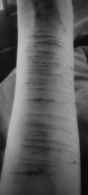 Anaforever41's profile picture. 15 ans ~ 1.67m ~ objectif : 47kg ~ poids perdu : 11kg