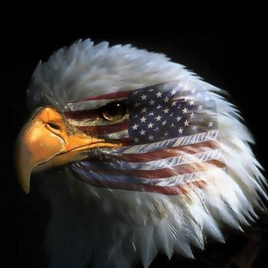 SoSayeththeLoad's profile picture. Curmudgeon, Patriot, Sportsman and an aspiring Man of Substance.