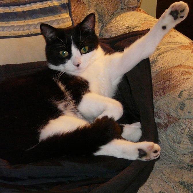 AndyDragon64's profile picture. A child genius, grown up. Lost the genius bit on the journey but not the inner child