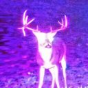 Tim Yarbrough - @0ebf79d5dc994c6 - Twitter