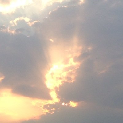 LSickler99's profile picture. 