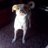 chicariachuelo's profile image