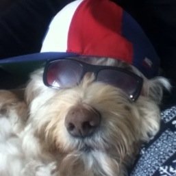 mapjap0955's profile picture. 