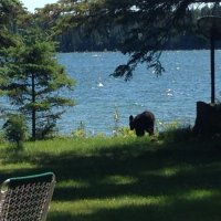 lorishaw (@lorishaw) 's Twitter Profile