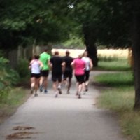 Bushy Park Runners (@bushyparkrunner) 's Twitter Profile