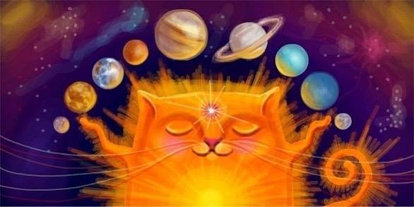 kotenko_ua's profile picture. Коти з'явились на Землі, щоб з ними жили люди.