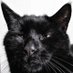 Andy Baldwin (@evilp00) Twitter profile photo