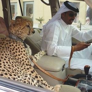 本場のカレーって美味しいね。8と11と48手と69！