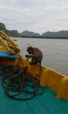 peltonen_j's profile picture. 