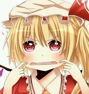 東方好きな大学生。フォロバは100％かな   無言フォローは許してね                                                          誰かさんのサブ垢
