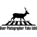 鹿写真家 石井 陽子 / Deer Photographer Yoko ISHII (@salut_chloe) Twitter profile photo 鹿写真家 石井 陽子 / Deer Photographer Yoko ISHII (@salut_chloe) Twitter profile photo