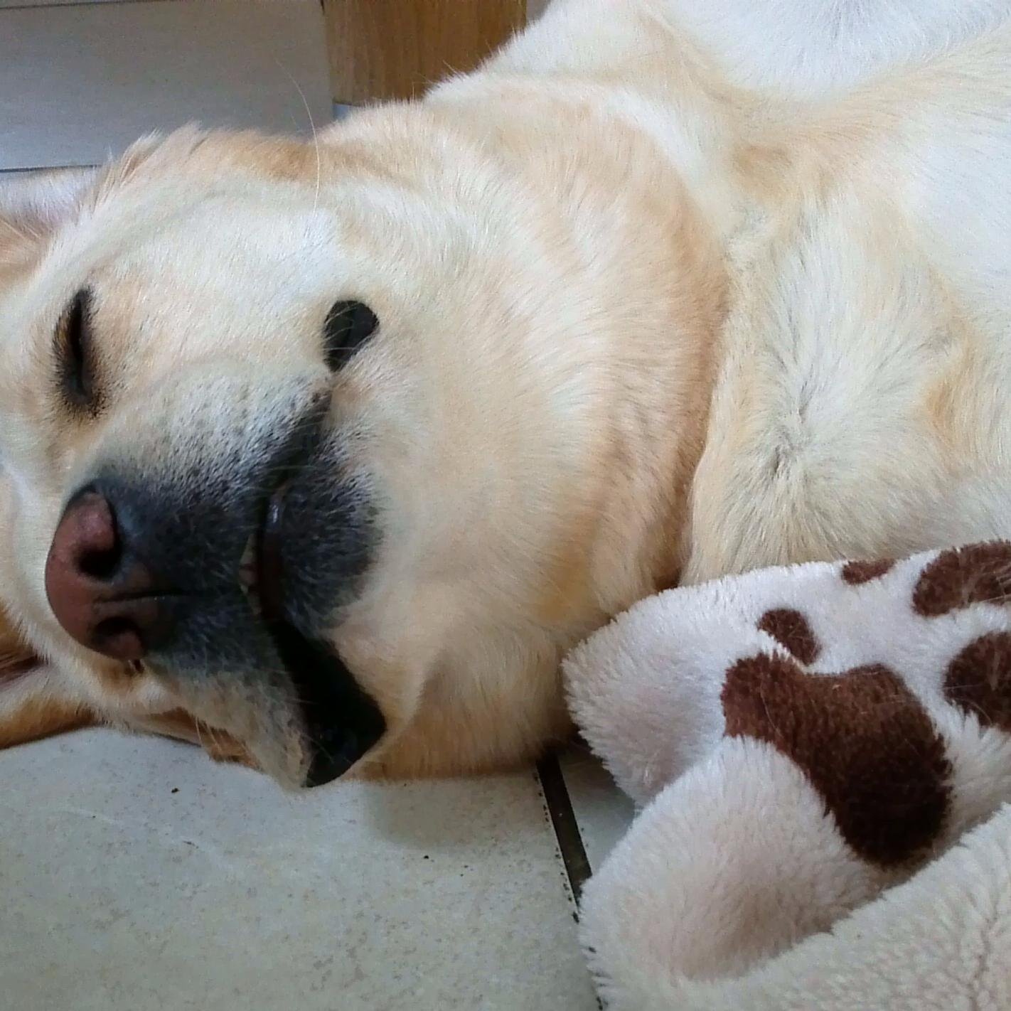 Eirika77's profile picture. 