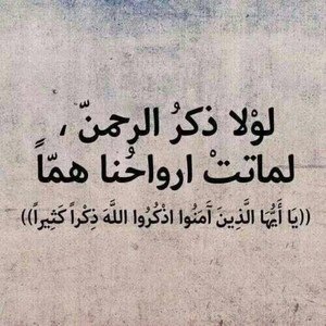 ( قل هو الله احد ۞ الله الصمد ۞ لم يلد ولم يولد ۞ ولم يكن له كفواً احد ) .*مُدخر للأخره*