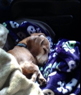 MaryZilka's profile picture. 